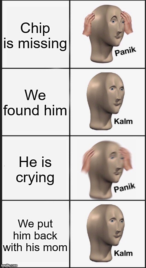 Our kitten's name is chip |  Chip is missing; We found him; He is crying; We put him back with his mom | image tagged in panik kalm panik kalm | made w/ Imgflip meme maker