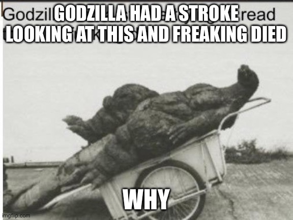 Godzilla | GODZILLA HAD A STROKE LOOKING AT THIS AND FREAKING DIED WHY | image tagged in godzilla | made w/ Imgflip meme maker