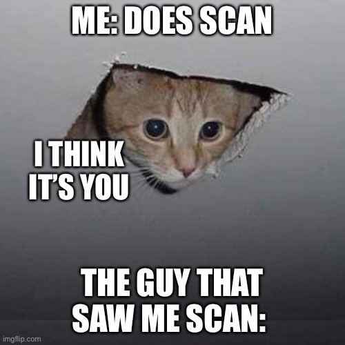 Suscan | ME: DOES SCAN; I THINK IT’S YOU; THE GUY THAT SAW ME SCAN: | image tagged in memes,ceiling cat | made w/ Imgflip meme maker