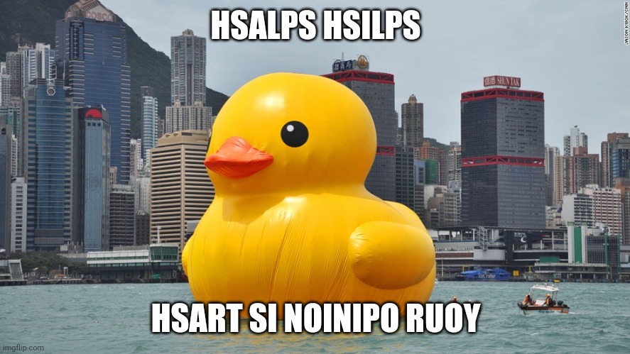 Giant Rubber Ducky | HSALPS HSILPS HSART SI NOINIPO RUOY | image tagged in giant rubber ducky | made w/ Imgflip meme maker