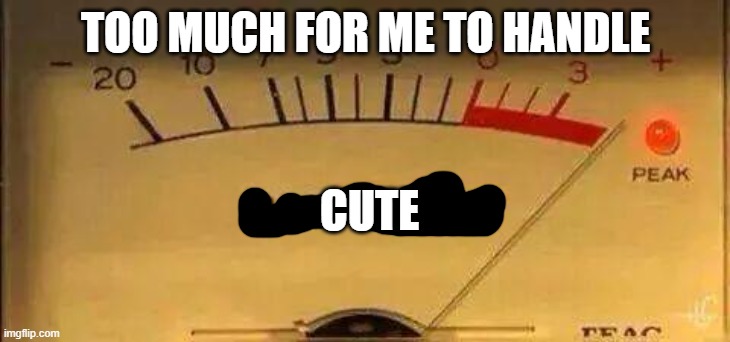 Bullshit Meter | TOO MUCH FOR ME TO HANDLE CUTE | image tagged in bullshit meter | made w/ Imgflip meme maker