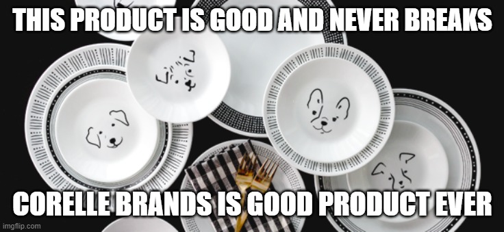 this product is good | THIS PRODUCT IS GOOD AND NEVER BREAKS; CORELLE BRANDS IS GOOD PRODUCT EVER | image tagged in product,products | made w/ Imgflip meme maker