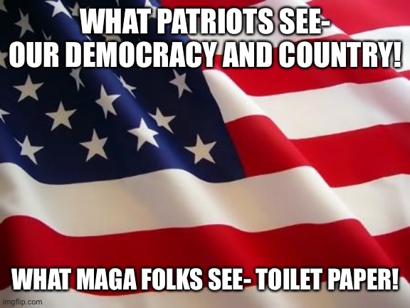 American flag | WHAT PATRIOTS SEE- OUR DEMOCRACY AND COUNTRY! WHAT MAGA FOLKS SEE- TOILET PAPER! | image tagged in american flag | made w/ Imgflip meme maker