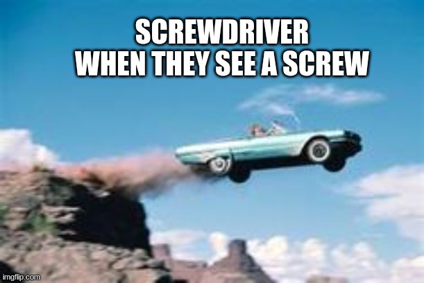 screwdriver | SCREWDRIVER WHEN THEY SEE A SCREW | image tagged in drivingoffacliff | made w/ Imgflip meme maker