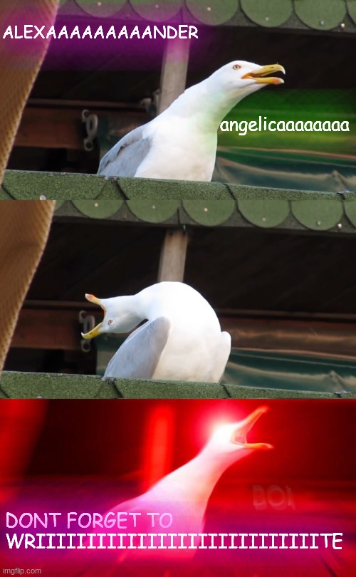 Inhaling seagull | ALEXAAAAAAAAANDER; angelicaaaaaaaa; DONT FORGET TO WRIIIIIIIIIIIIIIIIIIIIIIIIIIIITE | image tagged in inhaling seagull | made w/ Imgflip meme maker