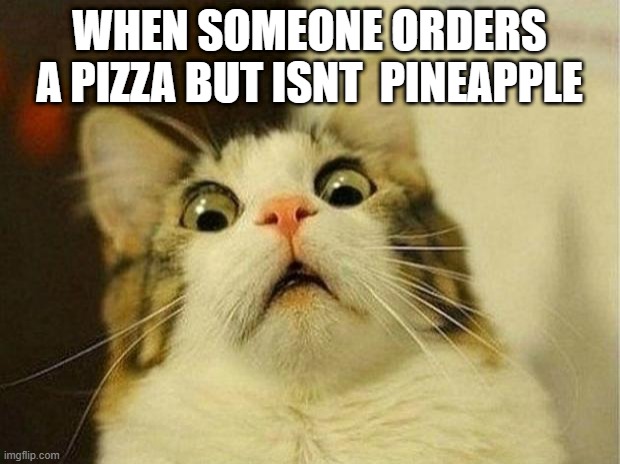 Scared Cat | WHEN SOMEONE ORDERS A PIZZA BUT ISNT  PINEAPPLE | image tagged in memes,scared cat | made w/ Imgflip meme maker