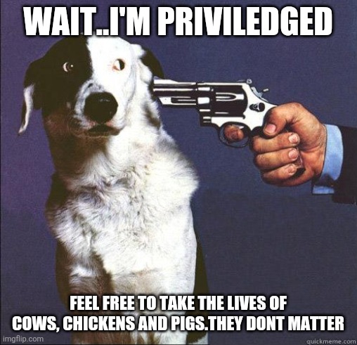 Shoot Dog | WAIT..I'M PRIVILEDGED; FEEL FREE TO TAKE THE LIVES OF COWS, CHICKENS AND PIGS.THEY DONT MATTER | image tagged in shoot dog | made w/ Imgflip meme maker