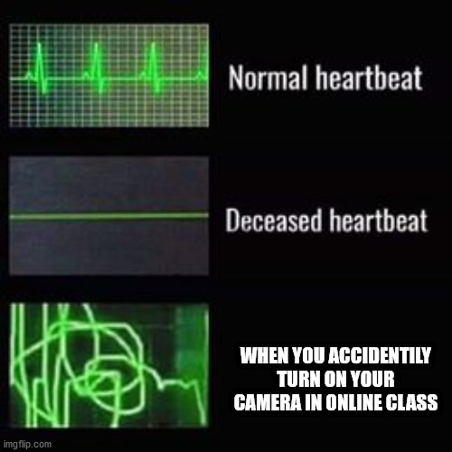 heartbeat rate | WHEN YOU ACCIDENTILY TURN ON YOUR CAMERA IN ONLINE CLASS | image tagged in heartbeat rate | made w/ Imgflip meme maker