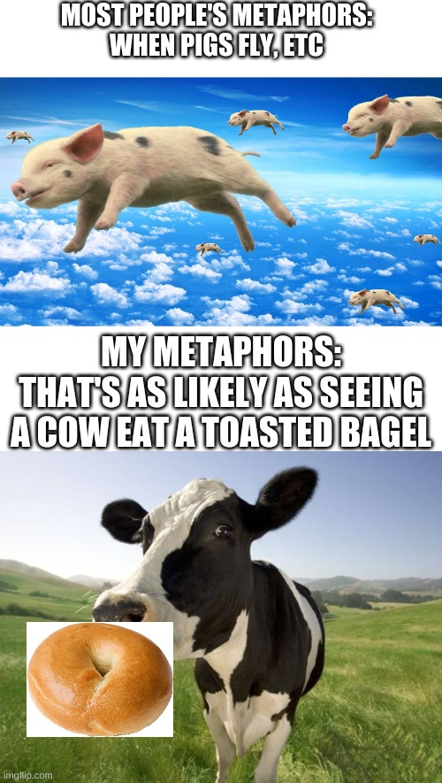 MOST PEOPLE'S METAPHORS:
WHEN PIGS FLY, ETC; MY METAPHORS:
THAT'S AS LIKELY AS SEEING A COW EAT A TOASTED BAGEL | image tagged in blank white template,when pigs fly,cow | made w/ Imgflip meme maker