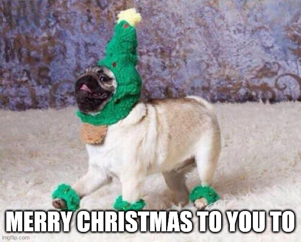 Christmas Dog | MERRY CHRISTMAS TO YOU TO | image tagged in christmas dog | made w/ Imgflip meme maker