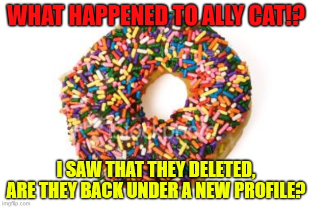 What happened? | WHAT HAPPENED TO ALLY CAT!? I SAW THAT THEY DELETED, ARE THEY BACK UNDER A NEW PROFILE? | image tagged in donut | made w/ Imgflip meme maker