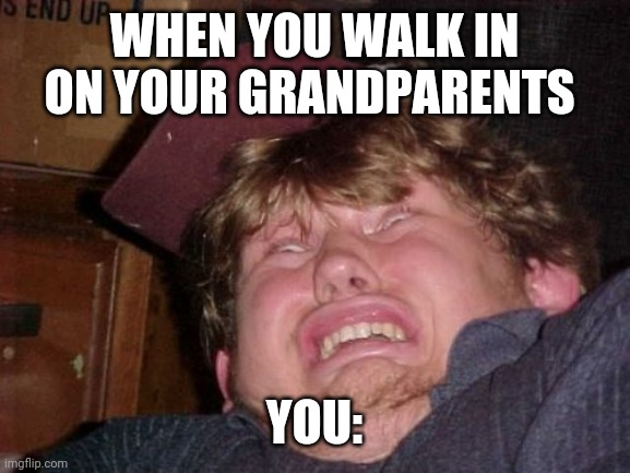 WTF | WHEN YOU WALK IN ON YOUR GRANDPARENTS; YOU: | image tagged in memes,wtf | made w/ Imgflip meme maker