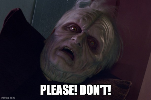 Palatine Please Don't | PLEASE! DON'T! | image tagged in palatine please don't | made w/ Imgflip meme maker