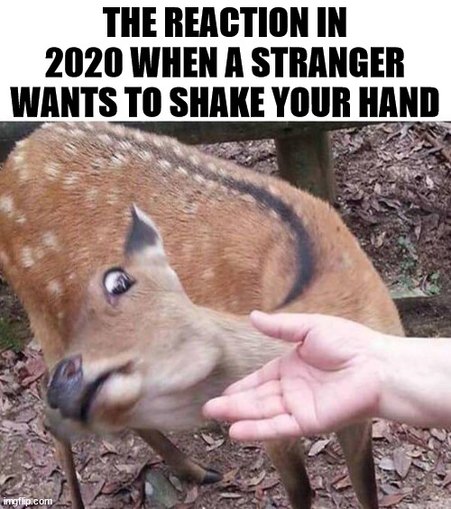 THE REACTION IN 2020 WHEN A STRANGER WANTS TO SHAKE YOUR HAND | made w/ Imgflip meme maker
