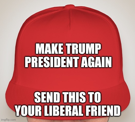 Trump Hat | MAKE TRUMP PRESIDENT AGAIN; SEND THIS TO YOUR LIBERAL FRIEND | image tagged in trump hat | made w/ Imgflip meme maker