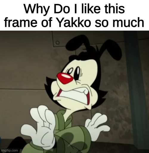 Huh. | Why Do I like this frame of Yakko so much | image tagged in animaniacs | made w/ Imgflip meme maker