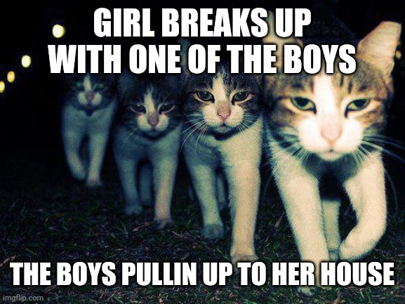 Wrong Neighboorhood Cats | GIRL BREAKS UP WITH ONE OF THE BOYS; THE BOYS PULLIN UP TO HER HOUSE | image tagged in memes,wrong neighboorhood cats | made w/ Imgflip meme maker