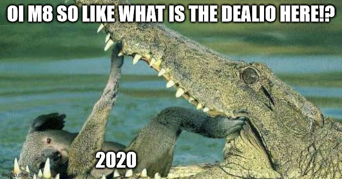 2020 is being taken away......what will take its place however is a mystery | OI M8 SO LIKE WHAT IS THE DEALIO HERE!? 2020 | image tagged in 2020 sucks | made w/ Imgflip meme maker