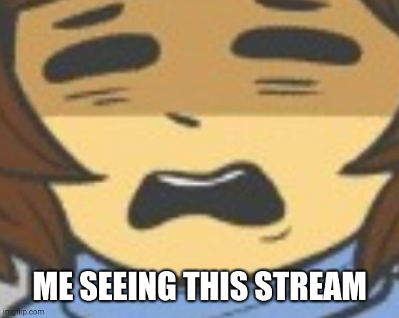 Æ | ME SEEING THIS STREAM | image tagged in friks | made w/ Imgflip meme maker