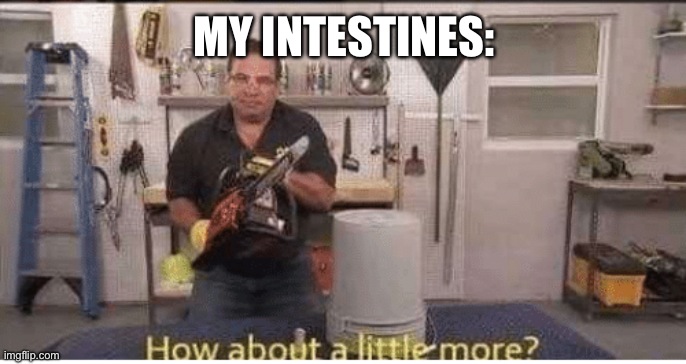 Phil Swift How about a little more | MY INTESTINES: | image tagged in phil swift how about a little more | made w/ Imgflip meme maker