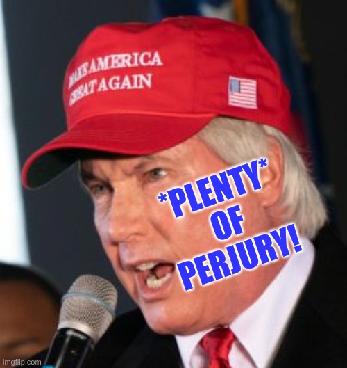 Trump Attorney Lin Wood Plenty Of Perjury | *PLENTY*
OF
PERJURY! | image tagged in bad grammar and spelling memes,conservatard,conservative logic,stupid people,trump lost,lin wood | made w/ Imgflip meme maker