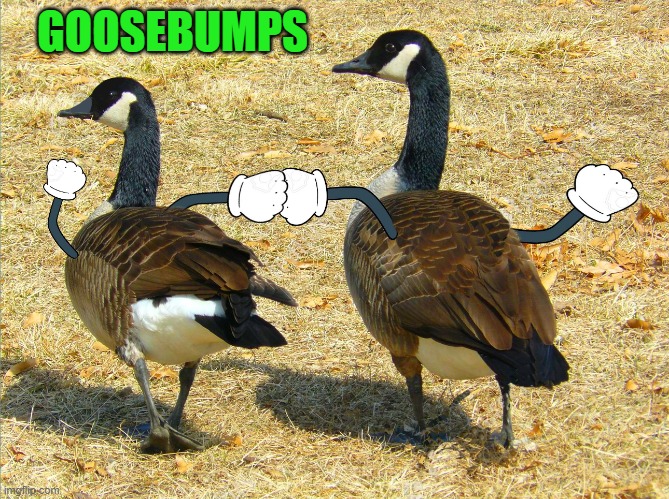 goosebumps | GOOSEBUMPS | image tagged in geese,goosebumps | made w/ Imgflip meme maker