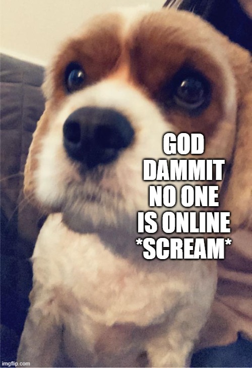 whos gonna approve my images *groan* | GOD DAMMIT NO ONE IS ONLINE *SCREAM* | image tagged in narwhal/jellyfish dog template | made w/ Imgflip meme maker