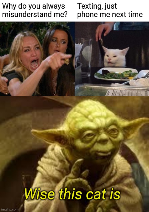 Cat calls | Why do you always misunderstand me? Texting, just phone me next time; Wise this cat is | image tagged in memes,woman yelling at cat,yoda,texting,text messages,phone | made w/ Imgflip meme maker