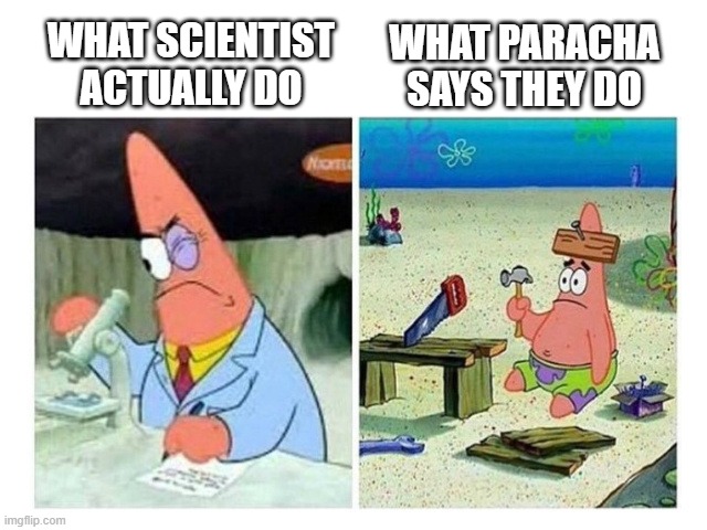 Patrick Scientist vs. Nail | WHAT PARACHA SAYS THEY DO; WHAT SCIENTIST ACTUALLY DO | image tagged in patrick scientist vs nail | made w/ Imgflip meme maker