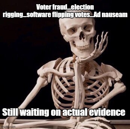 voter fraud | Voter fraud...election rigging...software flipping votes...Ad nauseam; Still waiting on actual evidence | image tagged in waiting skeleton | made w/ Imgflip meme maker