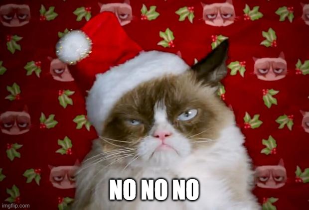 Hairy Christmas | NO NO NO | image tagged in grumpy santa cat,grinch,scrooge,just kidding,happy holidays,solstice | made w/ Imgflip meme maker