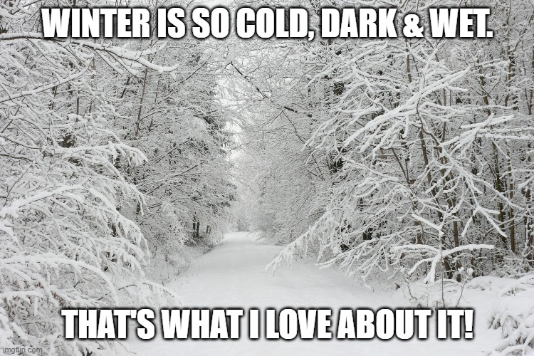 I'm from Alaska | WINTER IS SO COLD, DARK & WET. THAT'S WHAT I LOVE ABOUT IT! | image tagged in snowy forest,funny but true,alaska,winter is here,happiness,north | made w/ Imgflip meme maker