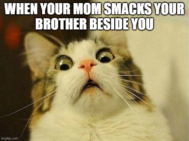 Scared Cat Meme | WHEN YOUR MOM SMACKS YOUR
BROTHER BESIDE YOU | image tagged in memes,scared cat | made w/ Imgflip meme maker