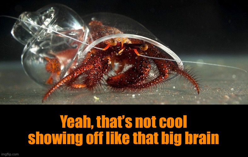 Yeah, that’s not cool showing off like that big brain | made w/ Imgflip meme maker