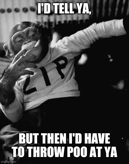 smoking monkey  | I'D TELL YA, BUT THEN I'D HAVE TO THROW POO AT YA | image tagged in smoking monkey | made w/ Imgflip meme maker