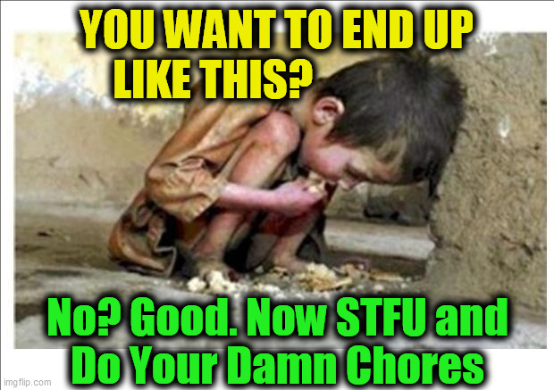 Starving child | YOU WANT TO END UP
LIKE THIS? No? Good. Now STFU and
Do Your Damn Chores | image tagged in starving child | made w/ Imgflip meme maker