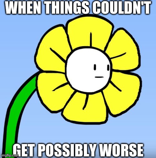 Yeah, I Get That.. | WHEN THINGS COULDN'T; GET POSSIBLY WORSE | image tagged in wut flowey | made w/ Imgflip meme maker