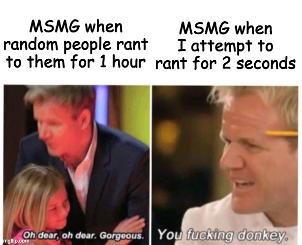 Such wow | MSMG when I attempt to rant for 2 seconds; MSMG when random people rant to them for 1 hour | image tagged in you fucking donkey | made w/ Imgflip meme maker