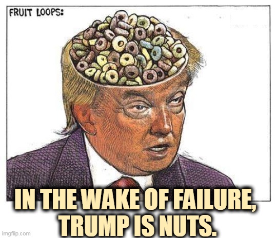 More than one screw loose. | IN THE WAKE OF FAILURE, 
TRUMP IS NUTS. | image tagged in trump is nuts,trump,insane,crazy,delusional | made w/ Imgflip meme maker