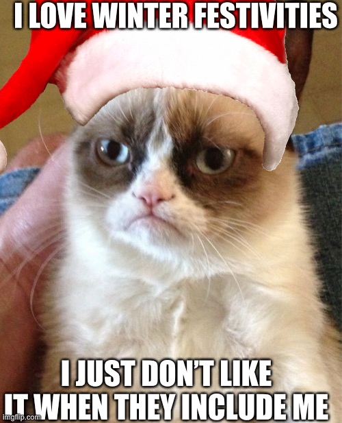 To be merry or not to be merry | I LOVE WINTER FESTIVITIES; I JUST DON’T LIKE IT WHEN THEY INCLUDE ME | image tagged in grumpy cat | made w/ Imgflip meme maker