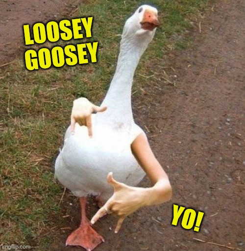 LOOSEY GOOSEY YO! | made w/ Imgflip meme maker