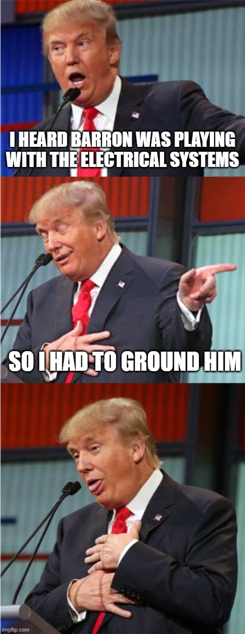 Bad Pun Trump |  I HEARD BARRON WAS PLAYING WITH THE ELECTRICAL SYSTEMS; SO I HAD TO GROUND HIM | image tagged in bad pun trump | made w/ Imgflip meme maker