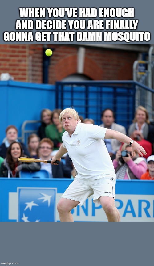 boris johnson tennis | WHEN YOU'VE HAD ENOUGH AND DECIDE YOU ARE FINALLY GONNA GET THAT DAMN MOSQUITO | image tagged in boris johnson tennis | made w/ Imgflip meme maker