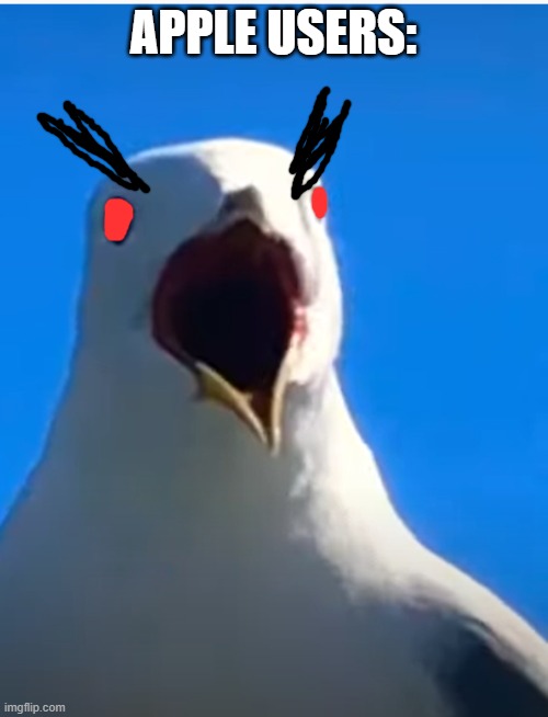 Seagull AHHH | APPLE USERS: | image tagged in seagull ahhh | made w/ Imgflip meme maker