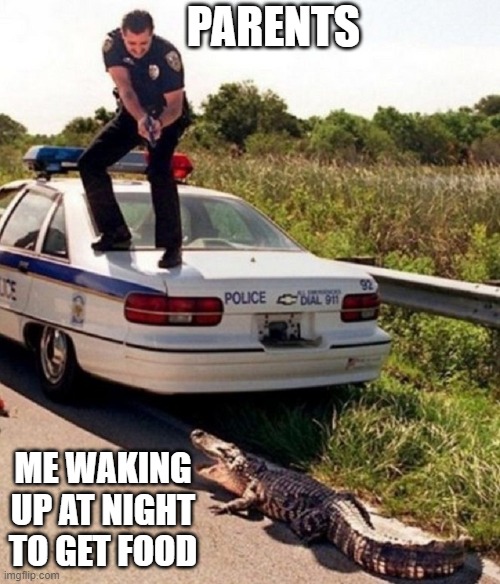 Waking up for a midnight snack |  PARENTS; ME WAKING UP AT NIGHT TO GET FOOD | image tagged in alligator,police | made w/ Imgflip meme maker