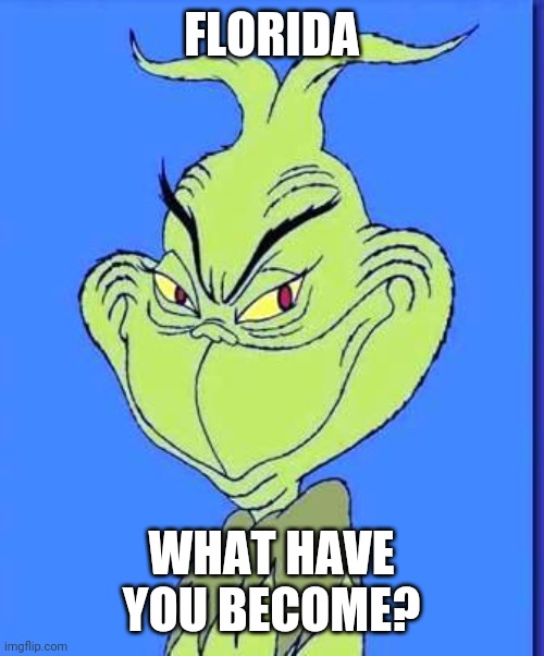 Good Grinch | FLORIDA WHAT HAVE YOU BECOME? | image tagged in good grinch | made w/ Imgflip meme maker