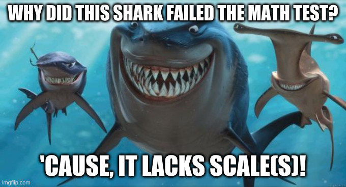 Shark failed math test | WHY DID THIS SHARK FAILED THE MATH TEST? 'CAUSE, IT LACKS SCALE(S)! | image tagged in shark,math,test,fail | made w/ Imgflip meme maker