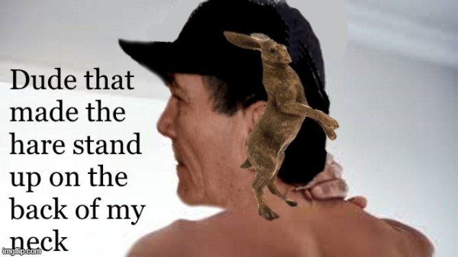 the hare stood up on the back of my neck and eat my hare's poo poo | image tagged in kewlew | made w/ Imgflip meme maker