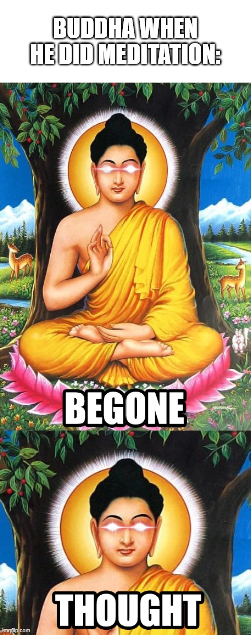 BEGONE THOUGHT | BUDDHA WHEN HE DID MEDITATION: | image tagged in memes | made w/ Imgflip meme maker