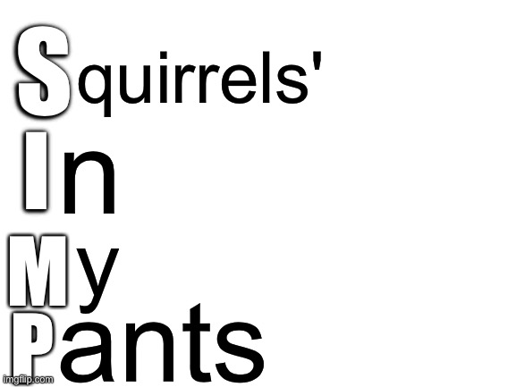 SIMP | S; quirrels'; n; I; y; M; ants; P | image tagged in blank white template,memes,funny | made w/ Imgflip meme maker